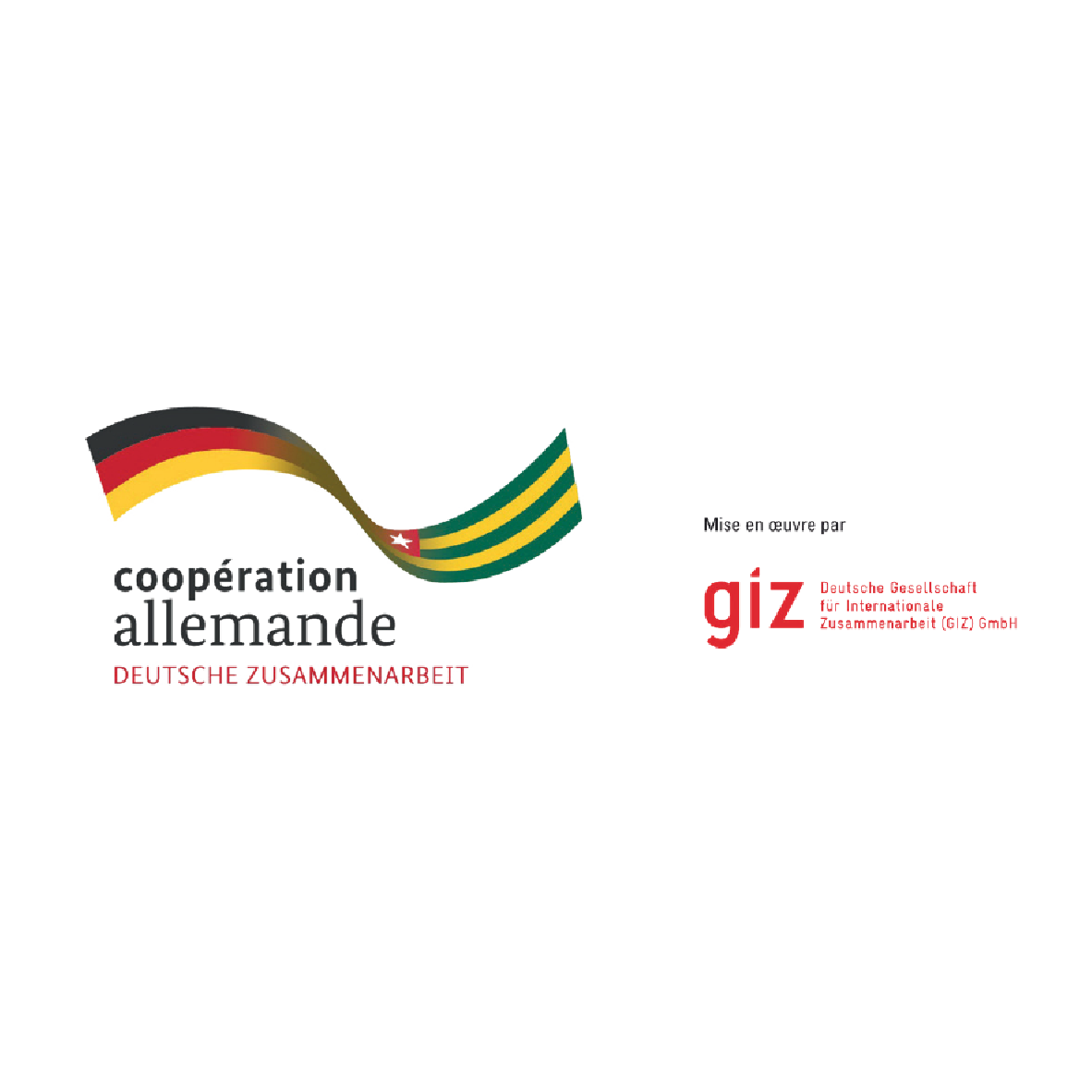 GIZ coopération allemande